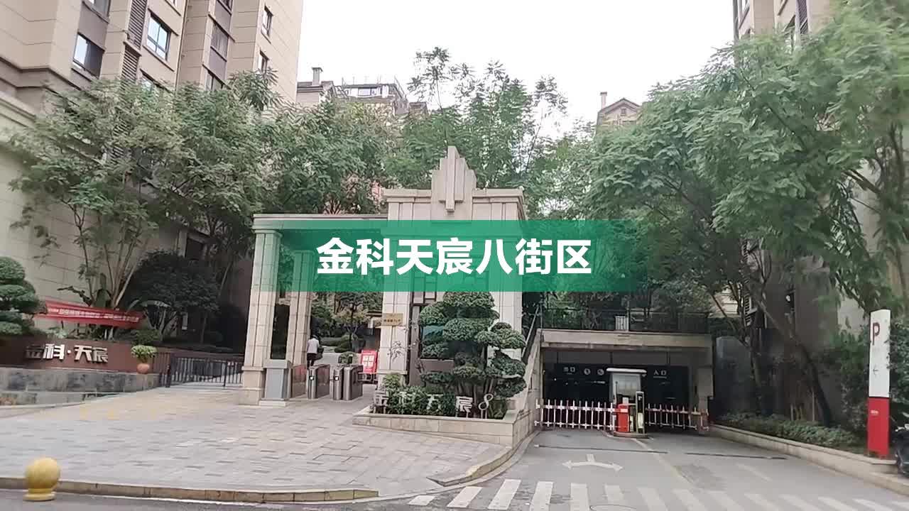 重庆金科天宸八街区图片